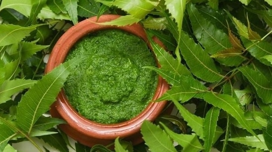 Neem: Neem, a natural herb, has been trusted from ages for its wonderful medicinal properties. From removing toxins from body to taking care of dental and skin issues, Neem has multiple health benefits. Neem is also packed with flavonoids, glycosides, and triterpenoids that help control blood sugar levels. Taking it twice every day if you have diabetes.(Shutterstock)