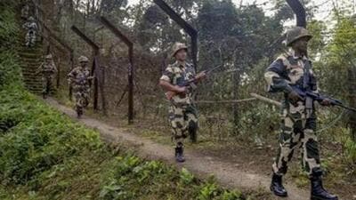 BSF: 82 truckers found with fake driving licences at Bangladesh border