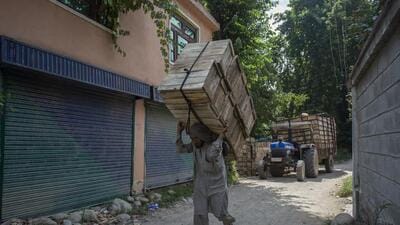From the last two weeks, growers across Kashmir have expressed concern over the sale of Iranian apples in mandis without the imposition of tax. Bashir Ahmad Bhat, president, Kashmir Valley Fruit Growers-cum-Dealers Union, said they have brought this issue to the notice of PM Narendra Modi and Union agriculture minister. (HT File Photo/ Representational image) From the last two weeks, growers across Kashmir have expressed concern over the sale of Iranian apples in mandis without the imposition of tax. Bashir Ahmad Bhat, president, Kashmir Valley Fruit Growers-cum-Dealers Union, said they have brought this issue to the notice of PM Narendra Modi and Union agriculture minister. (HT File Photo/ Representational image)