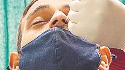 A healthworker collects a nasal swab sample for Covid-19 test at a hospital in Amritsar. (PTI) A healthworker collects a nasal swab sample for Covid-19 test at a hospital in Amritsar. (PTI)