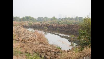 Site of mangroves destruction at Sector 25 in Kharghar. Revenue officials registered a case under the Environment Protection Act against unidentified persons. (HT PHOTO) Site of mangroves destruction at Sector 25 in Kharghar. Revenue officials registered a case under the Environment Protection Act against unidentified persons. (HT PHOTO)