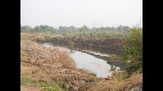 Site of mangroves destruction at Sector 25 in Kharghar. Revenue officials registered a case under the Environment Protection Act against unidentified persons. (HT PHOTO)