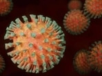 Currently, the symptoms of Omicron have been identified as body ache, fatigue, headache, weakness, runny nose and cough as described by the World Health Organization (WHO). However, the study will access the symptoms in all age groups and whether or not it differs in those with comorbidity. (REPRESENTATIVE PHOTO)