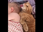 The cat licking the baby girl's head so it can wake her up. (instagram/@natalia.mlv) The cat licking the baby girl's head so it can wake her up. (instagram/@natalia.mlv)