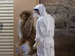 A wildlife officer with personal protective equipment is seen outside a temporarily closed pet shop in Hong Kong.