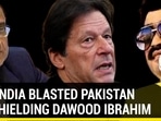 HOW INDIA BLASTED PAKISTAN FOR SHIELDING DAWOOD IBRAHIM