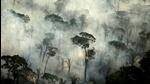 Smoke billows from a fire in an area of the Amazon rainforest near Porto Velho, Rondonia State, Brazil, on September 10, 2019. (REUTERS/File)