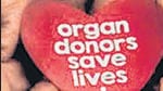 The public health department under Maharashtra government has constituted a task force to coordinate the process of organ donation and transplantation. (REPRESENTATIONAL IMAGE) The public health department under Maharashtra government has constituted a task force to coordinate the process of organ donation and transplantation. (REPRESENTATIONAL IMAGE)