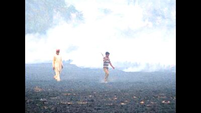 Burning of crop stubble in Punjab and Haryana is a major cause of smog. (HT Photo/File) Burning of crop stubble in Punjab and Haryana is a major cause of smog. (HT Photo/File)
