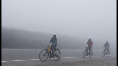 A cold and foggy morning on the outskirts of Lucknow. (AP) A cold and foggy morning on the outskirts of Lucknow. (AP)