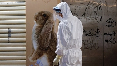 A wildlife officer with personal protective equipment is seen outside a temporarily closed pet shop in Hong Kong. (REUTERS)
