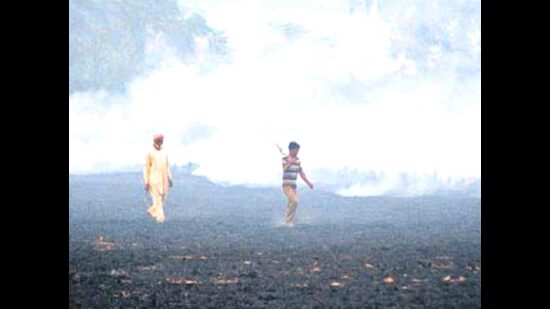 Burning of crop stubble in Punjab and Haryana is a major cause of smog. (HT Photo/File)