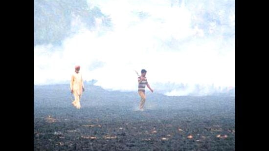 Burning of crop stubble in Punjab and Haryana is a major cause of smog. (HT Photo/File)