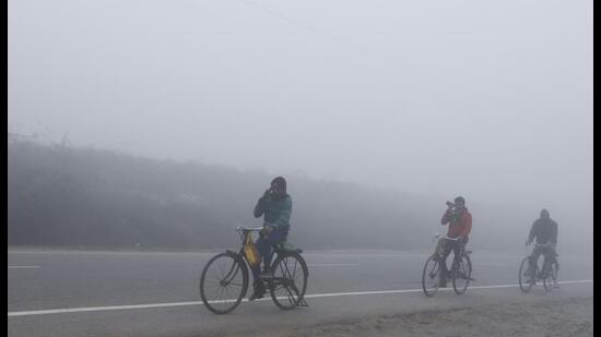 A cold and foggy morning on the outskirts of Lucknow. (AP)