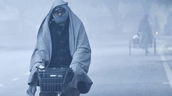 A person rides a cycle on a cold and foggy morning in Dwarka, New Delhi. (Vipin Kumar/HT photo)