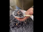 The black gajar ka halwa being served onto a little paper plate. (instagram/@youtubeswadofficial) The black gajar ka halwa being served onto a little paper plate. (instagram/@youtubeswadofficial)