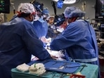 In recent years, significant progress has been made to genetically modify the developing piglets, rendering their tissues and organs resistant to human immune response. (AFP) In recent years, significant progress has been made to genetically modify the developing piglets, rendering their tissues and organs resistant to human immune response. (AFP)
