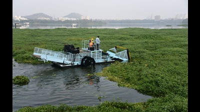 This permission was subject to certain conditions, namely that BMC will stop the ingress of raw sewage into the lake, carry out regular bioaccumulation studies along with water and sediment analysis reports (Vijay Bate) This permission was subject to certain conditions, namely that BMC will stop the ingress of raw sewage into the lake, carry out regular bioaccumulation studies along with water and sediment analysis reports (Vijay Bate)