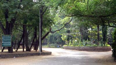 The Sanjay Gandhi National Park, Mumbai. (HT Photo) The Sanjay Gandhi National Park, Mumbai. (HT Photo)