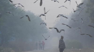 Pigeons take flight on a foggy morning in the outskirts of Dwarka in New Delhi. (Vipin Kumar / HT Photo) Pigeons take flight on a foggy morning in the outskirts of Dwarka in New Delhi. (Vipin Kumar / HT Photo)