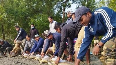In 2009, the Sunderban Tiger Reserve authorities and the Turtle Survival Alliance started a turtle breeding programme. (HT Photo) In 2009, the Sunderban Tiger Reserve authorities and the Turtle Survival Alliance started a turtle breeding programme. (HT Photo)