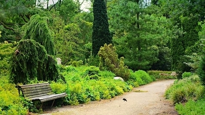 Boosts your mental health: Setting a walking routine in the morning can do much more than helping you shed a few kilos. According to studies, a daily walk can help improve blood flow to the brain, which can in turn boost your brain function. In nutshell, walking can help you tick off more than one wellness goals you have set for yourself. (Pixabay) Boosts your mental health: Setting a walking routine in the morning can do much more than helping you shed a few kilos. According to studies, a daily walk can help improve blood flow to the brain, which can in turn boost your brain function. In nutshell, walking can help you tick off more than one wellness goals you have set for yourself. (Pixabay)