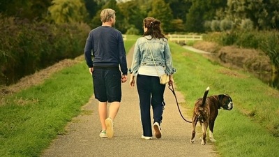 One of the most inexpensive and easiest workouts, even a 10-minute brisk walk can help you reap multitude of health benefits ranging from a sharp mind, a healthy heart to strong muscles. All you have to do is to choose a convenient time - preferably in morning so you can soak up some additional benefits of sunlight too, and get going towards your wellness goals. Here are some of the benefits of walking. (Pixabay) One of the most inexpensive and easiest workouts, even a 10-minute brisk walk can help you reap multitude of health benefits ranging from a sharp mind, a healthy heart to strong muscles. All you have to do is to choose a convenient time - preferably in morning so you can soak up some additional benefits of sunlight too, and get going towards your wellness goals. Here are some of the benefits of walking. (Pixabay)