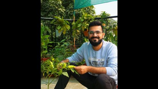 Romaine lettuce, chillies, spinach, mint, capsicum, ajwain (carom), garlic and mustard greens adorns Karan Tripathi’s terrace garden. Romaine lettuce, chillies, spinach, mint, capsicum, ajwain (carom), garlic and mustard greens adorns Karan Tripathi’s terrace garden.