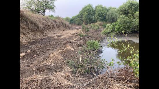 Amidst mounting complaints of mangrove and wetland destruction, activists in Navi Mumbai want special fast track courts for environmental cases and green police to handle such crimes. (HT PHOTO)