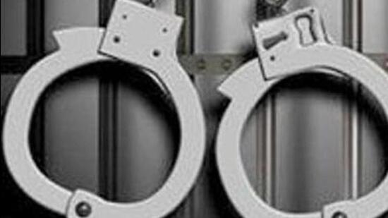 The incident took place in Palsawade village of the western Maharashtra district on Wednesday, officials said. Following the incident, the couple was arrested, police said on Thursday. (REPRESENTATIVE PHOTO)