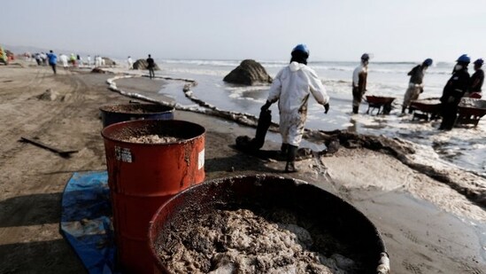 Workers clean an oil spill caused by abnormal waves, triggered by a massive underwater volcanic eruption in Tonga, off the coast of Lima, in Ventanilla, Peru.(REUTERS)
