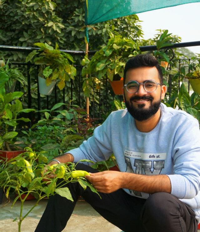 Romaine lettuce, chillies, spinach, mint, capsicum, ajwain (carom), garlic and mustard greens adorns Karan Tripathi’s terrace garden.