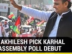 WILL AKHILESH PICK KARHAL FOR ASSEMBLY POLL DEBUT