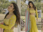 Shehnaaz Gill shares her pictures.