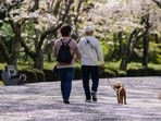 According to new research, walking regularly may help prevent Type 2 diabetes among 70 and 80-year-olds.(Unsplash)