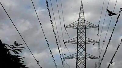 The cyber complaint was lodged after energy minister Nitin Raut directed Maharashtra State Electricity Distribution Company Limited (MSEDCL) managing director Vijay Singhal to lodge a complaint in the issue. (REPRESENTATIVE PHOTO)