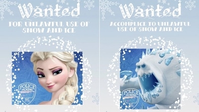 Police department took to Facebook to post this Elsa-related picture. (Facebook/Pickens Police Department)