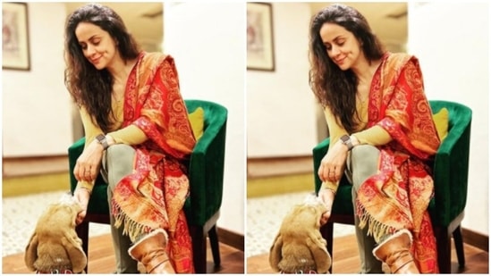 Gul Panag acing pushups in a saree is our Friday fitness inspo(Instagram/@gulpanag)