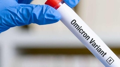 The World Health Organization has identified three sub-strains of the Omicron variant: BA.1, BA.2 and BA.3. (Representative Photo) The World Health Organization has identified three sub-strains of the Omicron variant: BA.1, BA.2 and BA.3. (Representative Photo)