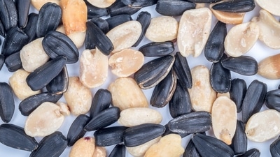 5) Foods rich in Vitamin E - such as almonds, sunflower seeds and peanuts contain gamma-tocopherol which is a form of vitamin E that leads to decreased allergy-related inflammation. (Pixabay) 5) Foods rich in Vitamin E - such as almonds, sunflower seeds and peanuts contain gamma-tocopherol which is a form of vitamin E that leads to decreased allergy-related inflammation. (Pixabay)