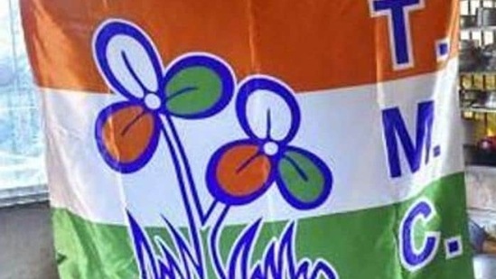 In the single-phase assembly election in Goa on February 14, the TMC is a first-time entrant and has announced a slew of promises if it forms the government this time.(PTI file photo. Representative image)