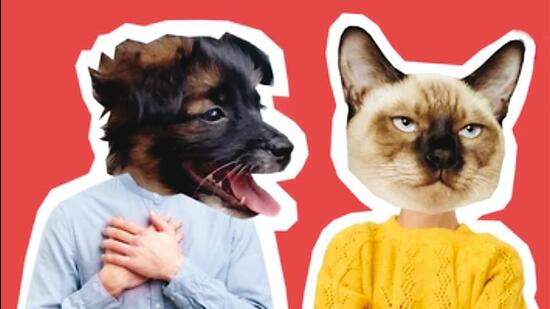 Whose pet is it anyway?
