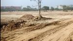 A Railway official said they only cut saplings to make way for trucks. (Sourced) A Railway official said they only cut saplings to make way for trucks. (Sourced)