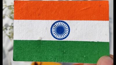 Plantable flags, which have seeds embedded in them, are an attempt to reduce plastic waste during celebrations. Plantable flags, which have seeds embedded in them, are an attempt to reduce plastic waste during celebrations.