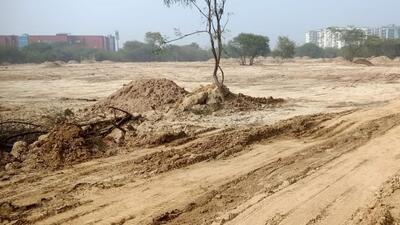 A Railway official said they only cut saplings to make way for trucks. (Sourced) A Railway official said they only cut saplings to make way for trucks. (Sourced)