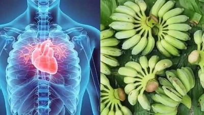 Raw banana contains potassium which is extremely beneficial for the kidneys. Hence, it helps in maintaining the blood sugar levels, which further helps in promoting good heart health. 