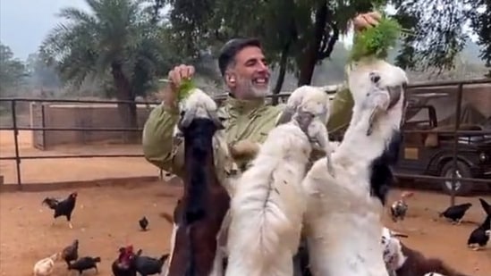 Akshay Kumar fed goats in a new video. Chickens could also be seen behind him.