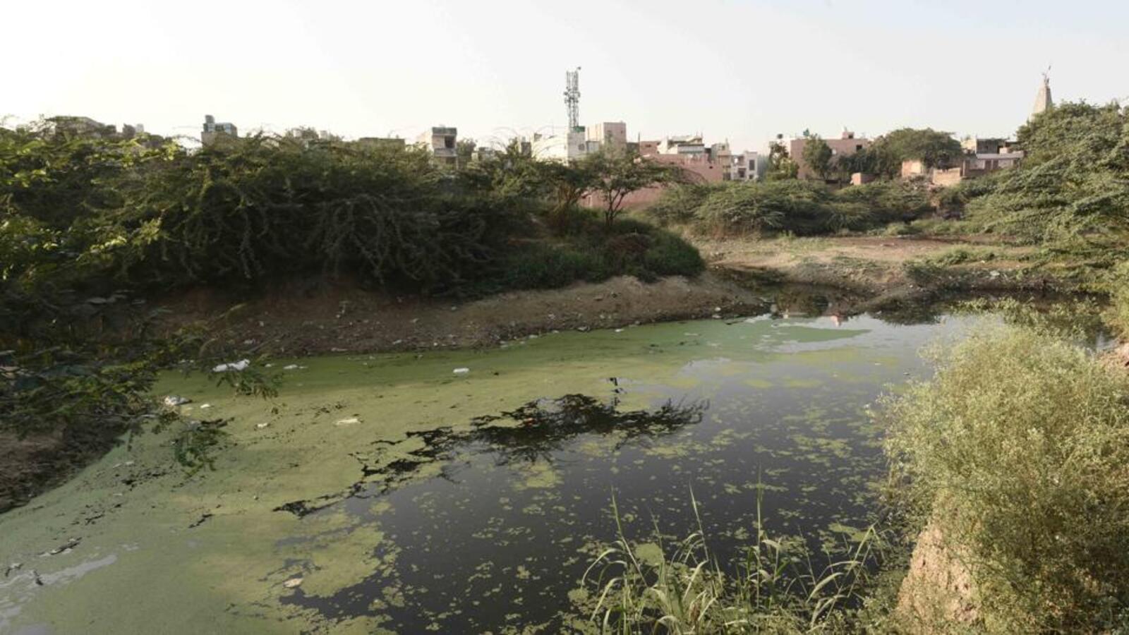 Gurugram Civic Body To Revive Two Ponds To Prevent Waterlogging On Key Stretches Hindustan Times 4379