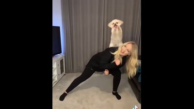 The doggo at the end of the video where it waves its paws at the end of its dance routine. (instagram/@thetrickstarsuk) The doggo at the end of the video where it waves its paws at the end of its dance routine. (instagram/@thetrickstarsuk)