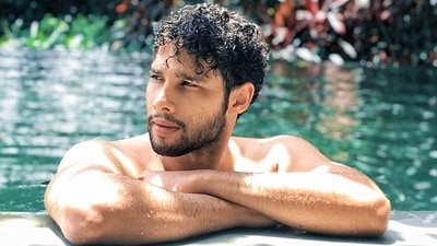 Siddhant Chaturvedi dropped the shocker in a recent interaction. Siddhant Chaturvedi dropped the shocker in a recent interaction.